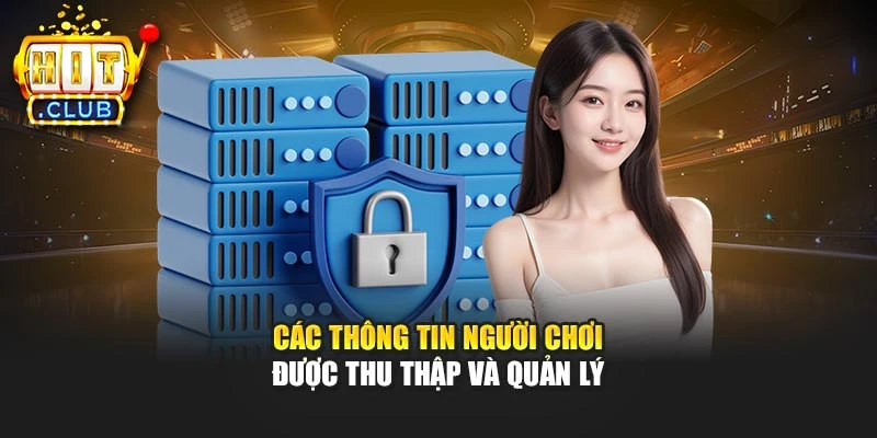 Các thông tin người chơi được thu thập và quản lý