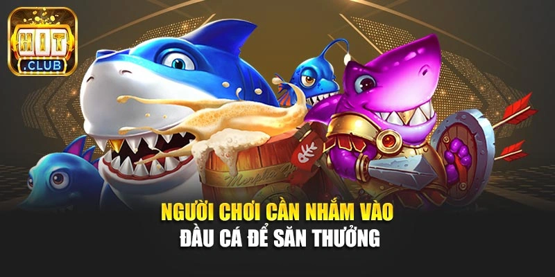 Người chơi cần nhắm vào đầu cá để săn thưởng
