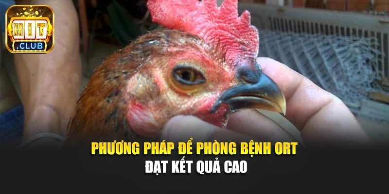 Phương pháp để phòng bệnh ORT đạt kết quả cao