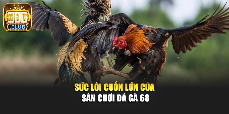 Sức lôi cuốn lớn của sân chơi đá gà 68
